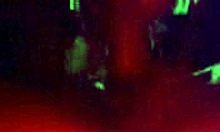 alluring girlfriend blows cock in homemade clip