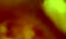 attractive russian hottie delivers a mind-blowing deepthroat in private pov