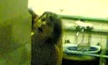 Amateur brunette couple fucks hard in public toilet doggystyle