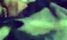 Passionate girlfriend sucks boyfriend's cock in bed