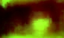 Watch this amateur girlfriend moan as her boyfriend bangs her shaved pussy in POV doggy style!