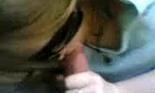 Amateur Cutie in Glasses Devours Boyfriend's Hard Shaft