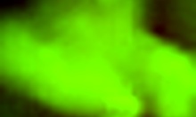 pretty black haired girlfriend gobbles big cock 😏