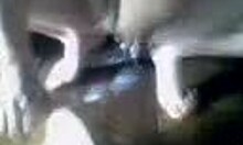 Amateur Babe Washes Tits and Pussy