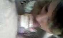 horny girlfriend passionately sucks bfs dick