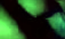 Feeling aroused as amateur hottie sucks boyfriend's big cock passionately