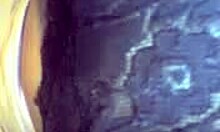 Attractive Brunette Girlfriend Uses Dildo On Webcam