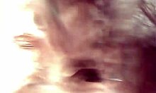 Hot Couple Blowjob On Car Turns Naughty With Orgasm