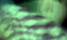 Girlfriend sharing intimate moments in bed