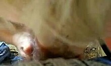 Dazzling Blonde Diva Sucks Boyfriends Big Dick