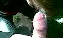 My sexy gf, um, sucks me in homemade vid!