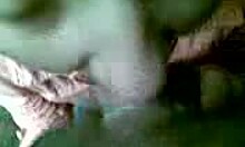 Hot babe deepthroats big cock in an amateur clip with pov couple action 😘