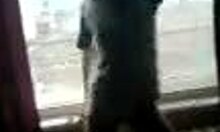 Ravishing Blonde Amateur Diva Dances Seductively in Her Private Room