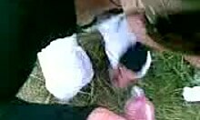 Girlfriend sucks boyfriend's thick dick outdoors in nature