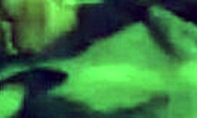 Passionate girlfriend sucks boyfriend's cock in bed