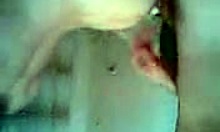 blonde girlfriend whispers, 'suck my pussy before drilling it'