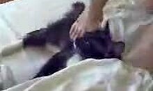 Sexy Amateur Girlfriend Spreading Wet Shaved Pussy in Private Bathing Session on Bed