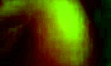 The Pretty Brunette Amateur Feels Excited Sucking Hard Cock In Stockings During Homemade Session