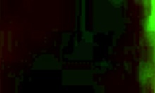 The Pretty Brunette Amateur Feels Excited Sucking Hard Cock In Stockings During Homemade Session