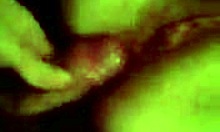 amateur girlfriend sucks cock in pov, teasing anal sex to come.