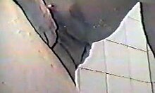 Girlfriend sucks before riding cock.