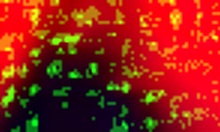 Guy fingers girlfriend before pounding in pov