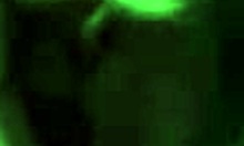 Cute girlfriend enjoys oral attention from boyfriend