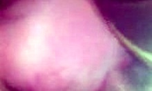 Amateur pov close-up of slut girlfriend sucking cock naked 😈