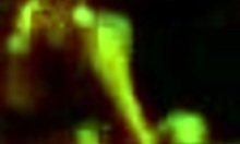 Sensual Young Babe Dancing and Teasing Her Body