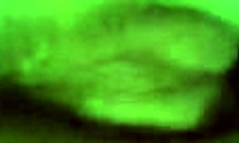 my ugly blonde girlfriend sucks my cock