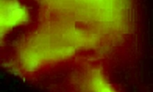 The Pretty Brunette Amateur Feels Excited Sucking Hard Cock In Stockings During Homemade Session