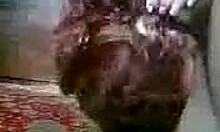 Lust filled redhead girlfriend sucks her man's cock eagerly 😏