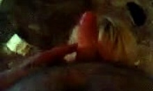 Blonde Getting Pounded Hard Before Giving A Blowjob