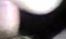 Brunette Girlfriend Getting Anally Fucked In POV