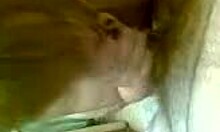 Chubby blonde slut sucking her man off in POV, isn't that hot?