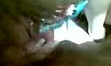 Dazzling Sweetheart Sucks Boyfriend's Thick Dick with Ball Licking