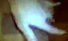 girlfriend fingers herself while munching a cock 😘