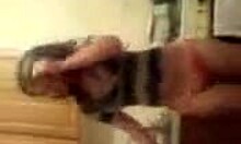 Teen Girl Stripping And Teasing In Kitchen On Webcam