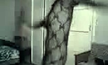 Blonde camwhore wearing stockings dances for her fans