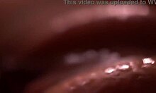 the beauty of sex is in the details frictions on the macro lens.