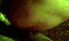 amateur girlfriend sucks cock in pov, teasing anal sex to come.