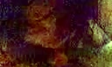 Teen brunette says, 'Watch me suck and ride'