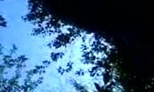 brunette cutie enjoys picnic with boyfriend pov shaved pussy couple young 18+ teen 18+ amateurs