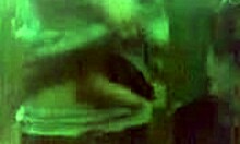 gosh, this giggling brunette girlfriend gives such a sloppy blowjob! 😜