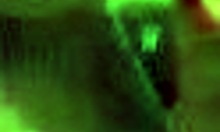 short haired blonde tugs and sucks, wanna see?