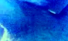 Slutty Girlfriend Sucks Her Boyfriends Cock And His Balls