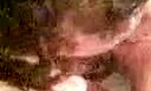 Perfect teen cutie licks boyfriends big cock in pov