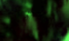 Watch my cute girlfriend suck and fuck in POV?