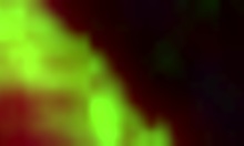 Dazzling Blonde Teen Gets Her Shaved Pussy Drilled By Huge Cock In Amateur Sex.