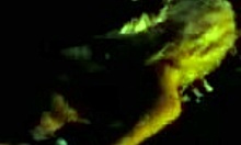 Irresistible stripper dances seductively, showing her ass in a thong at the night club